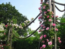 08 Nguyên Tắc Thiết Kế Một Vườn Hoa Như Ý (Phần Cuối)