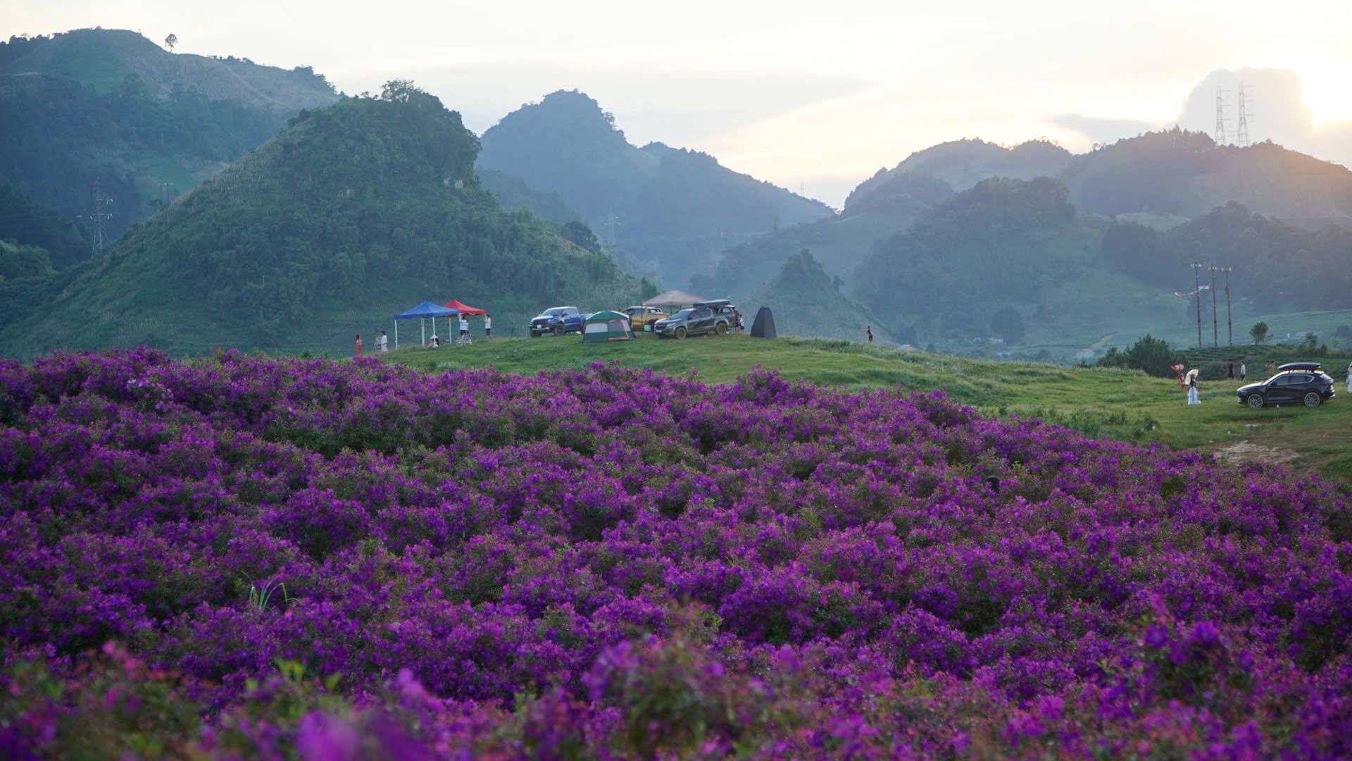 check in đồi mua