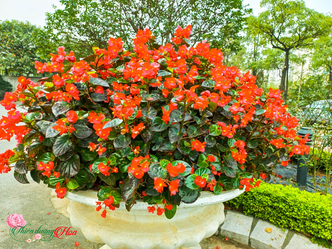 Xem Ảnh Lớn