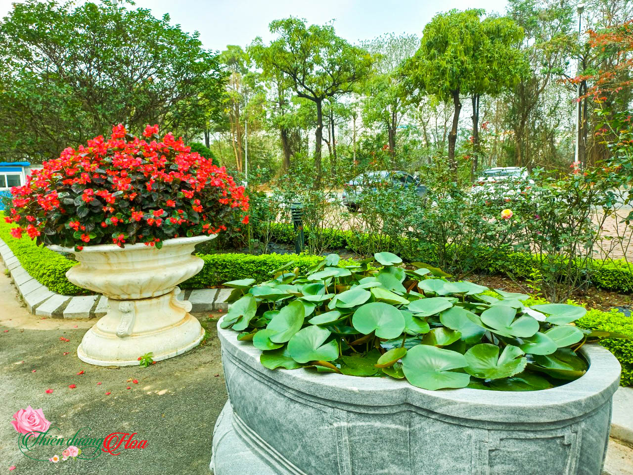 Xem Ảnh Lớn