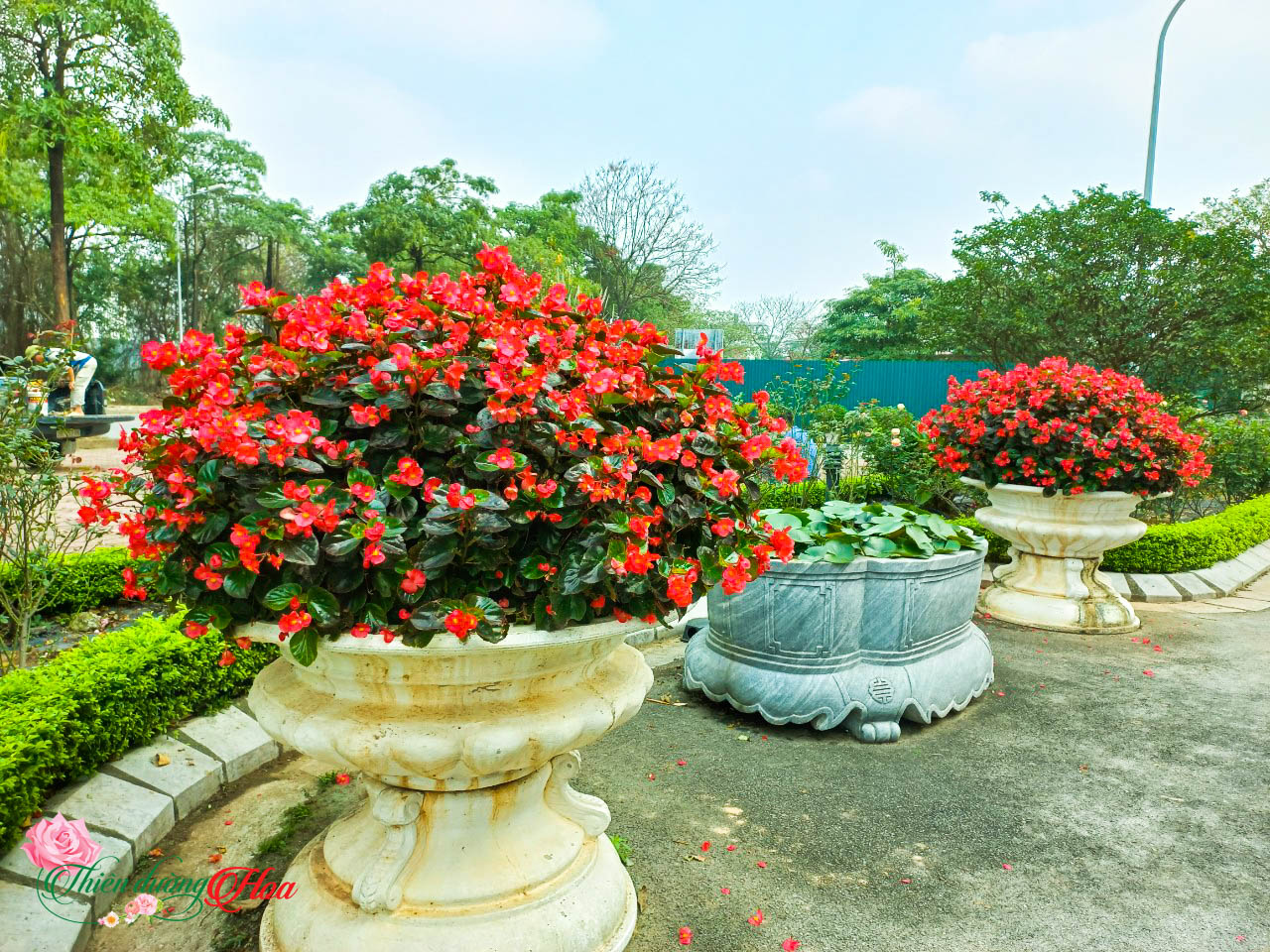 Xem Ảnh Lớn