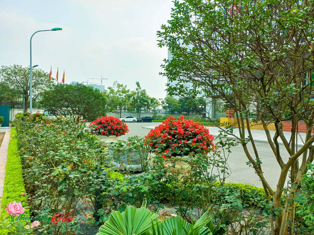 Xem Ảnh Lớn