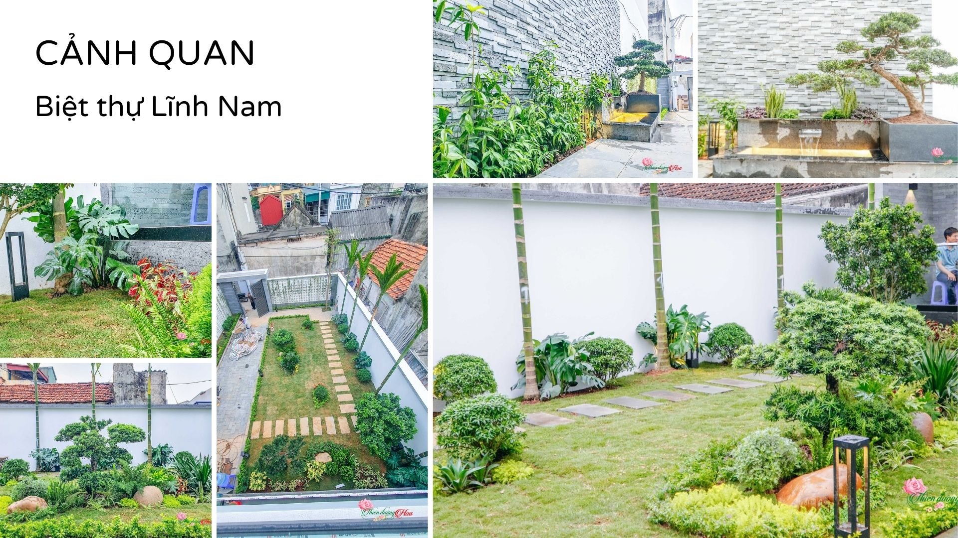 Xem Ảnh Lớn