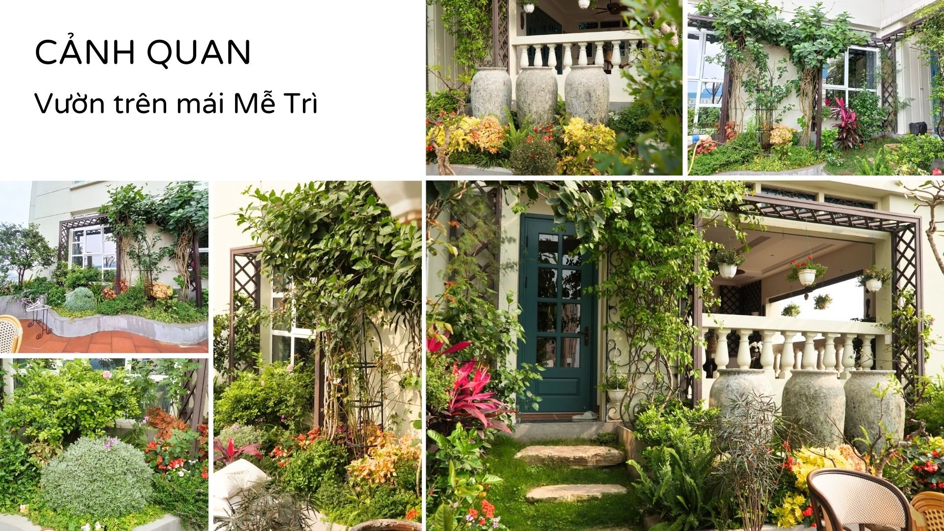 Xem Ảnh Lớn