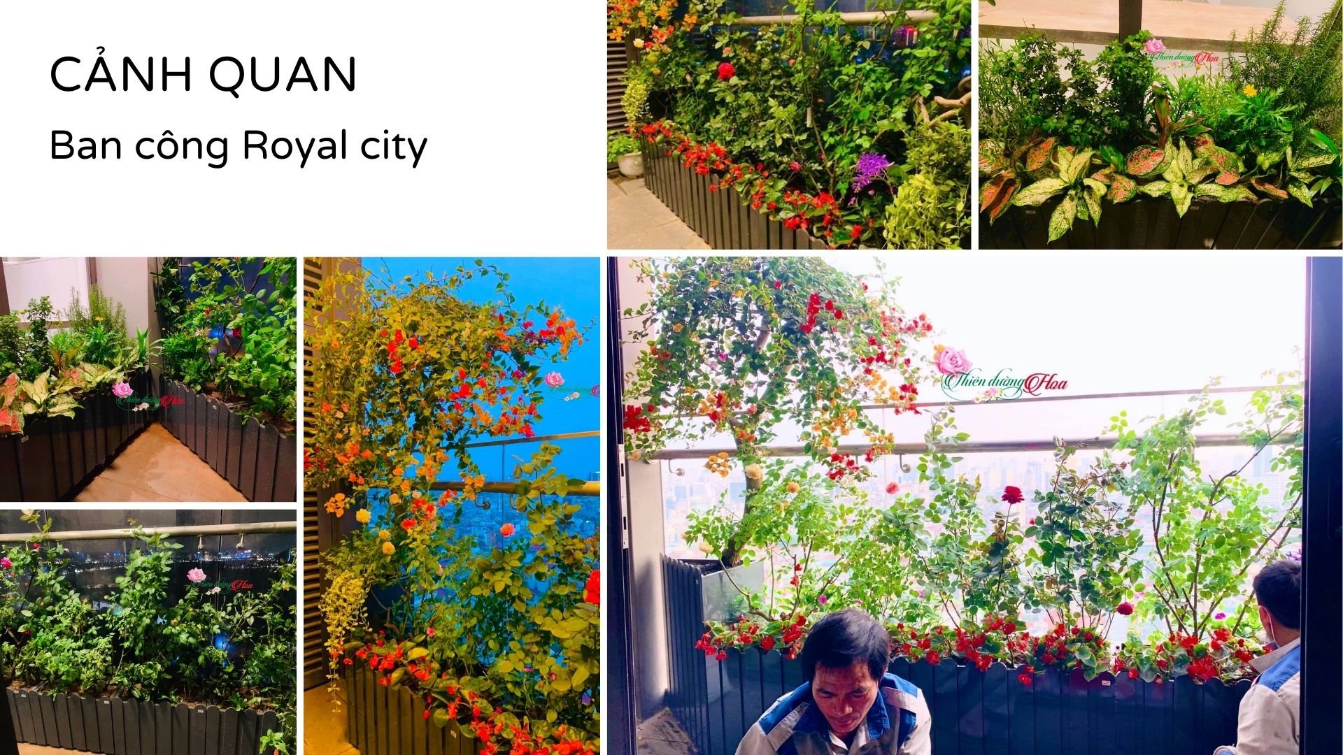 Xem Ảnh Lớn