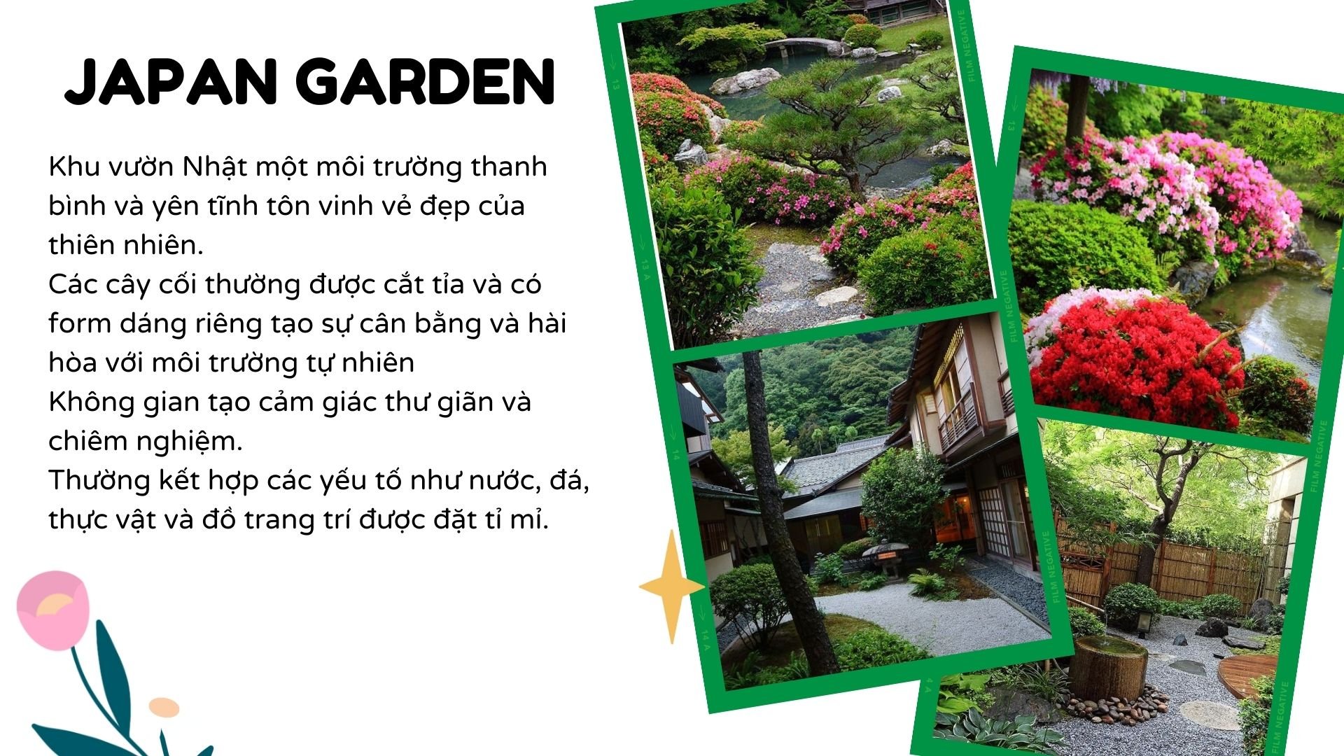 Xem Ảnh Lớn