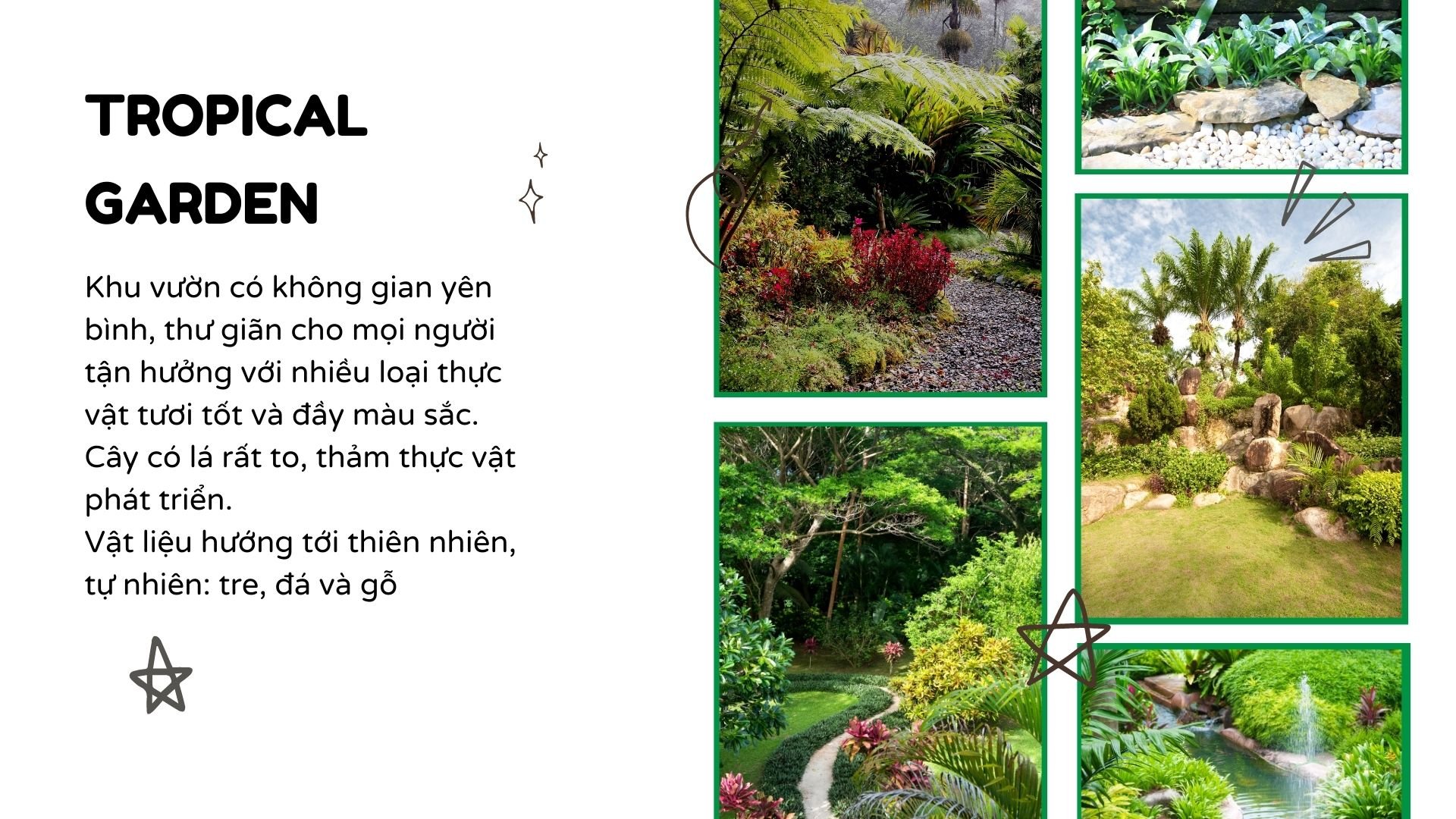 Xem Ảnh Lớn