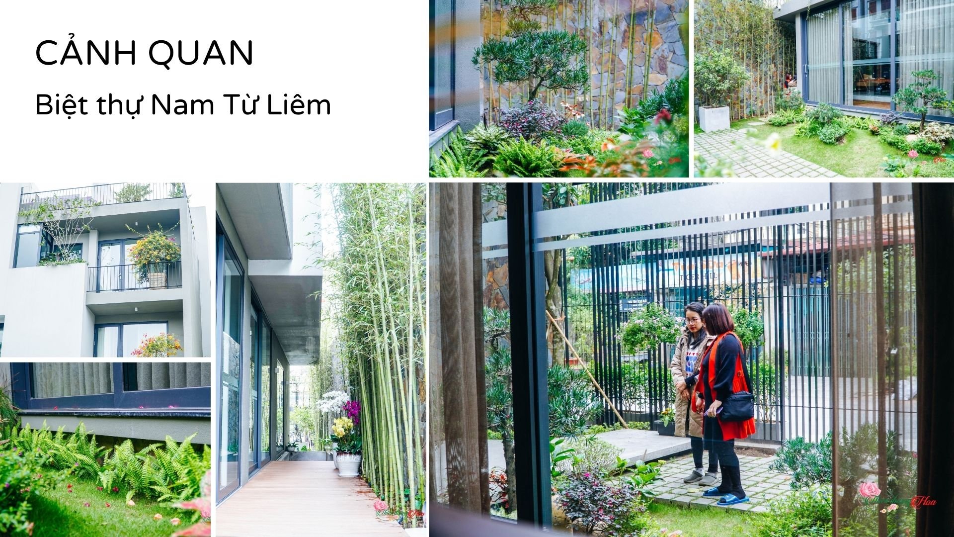Xem Ảnh Lớn