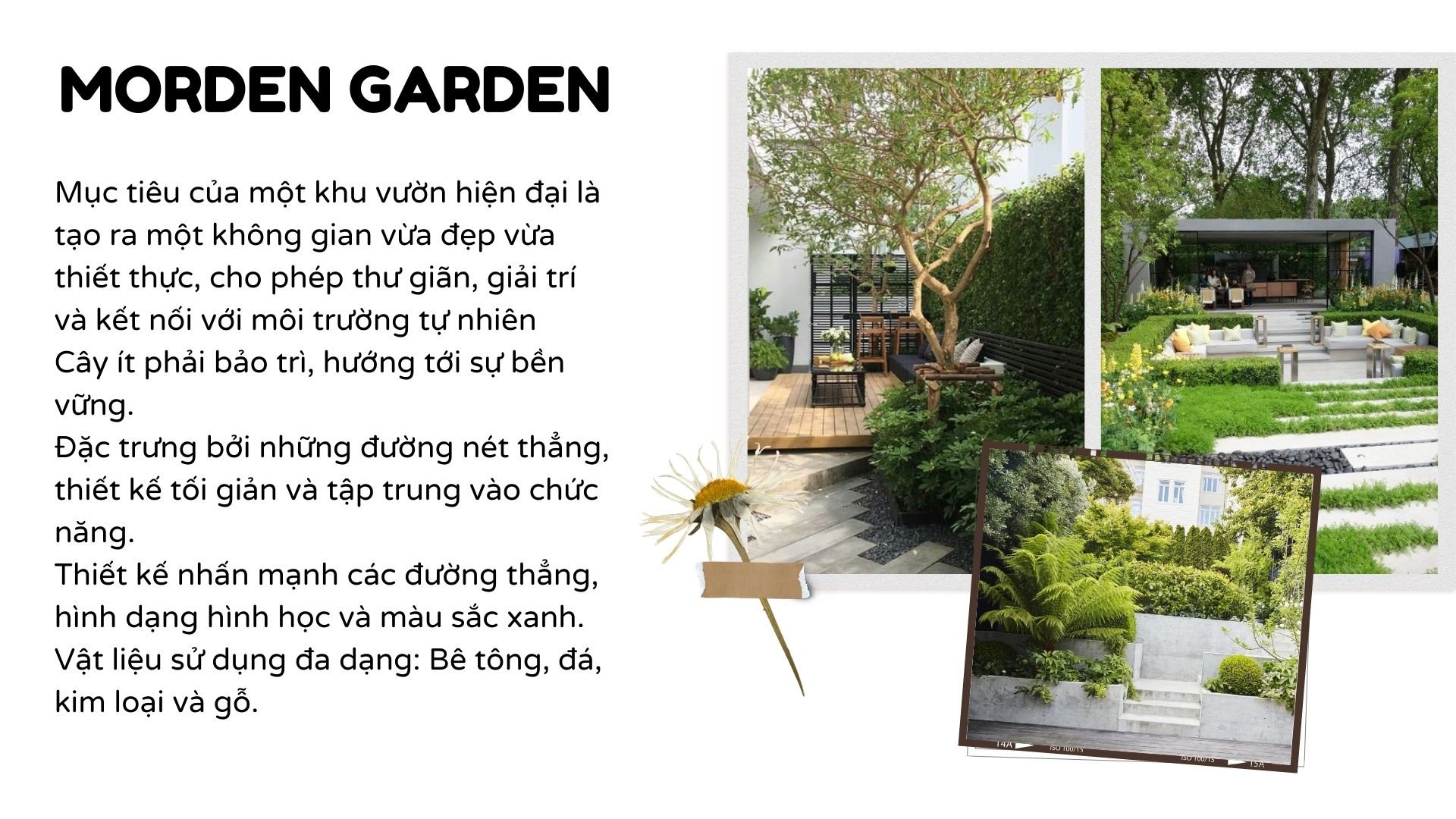Xem Ảnh Lớn