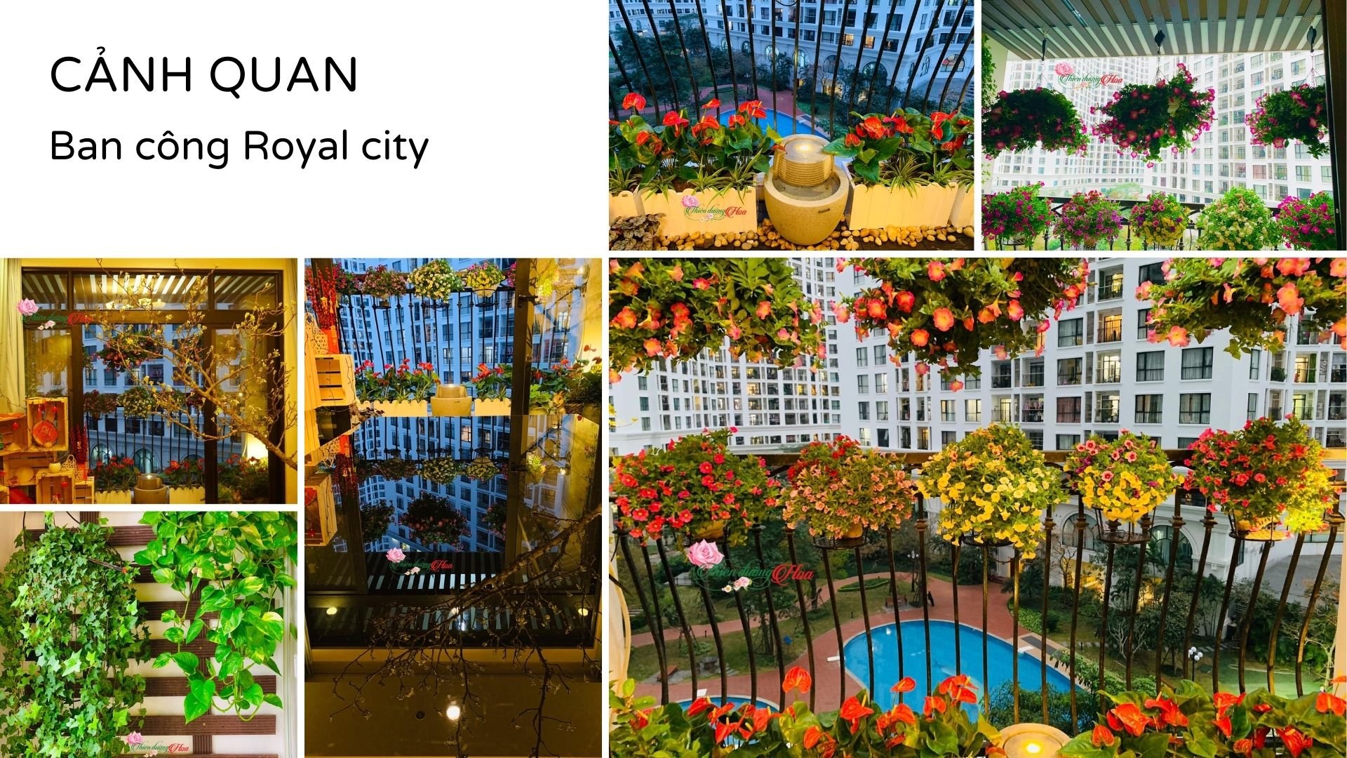 Xem Ảnh Lớn