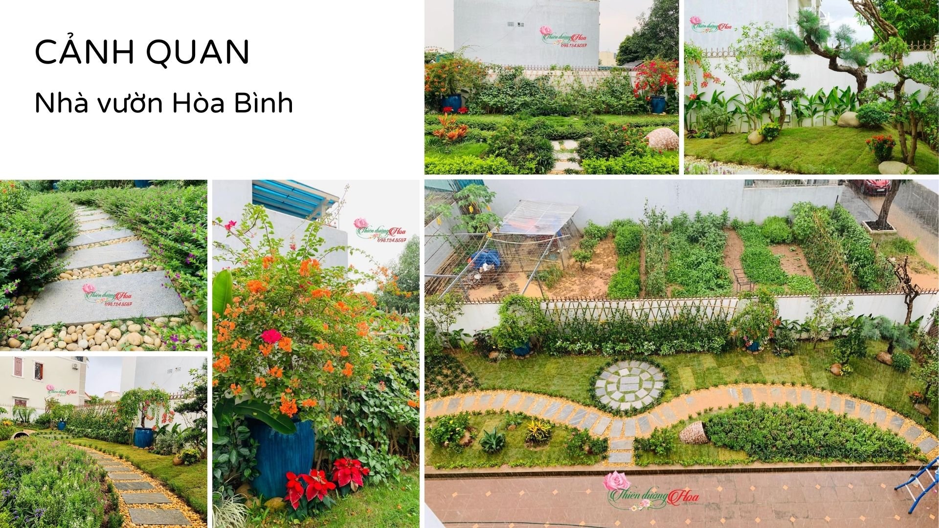 Xem Ảnh Lớn