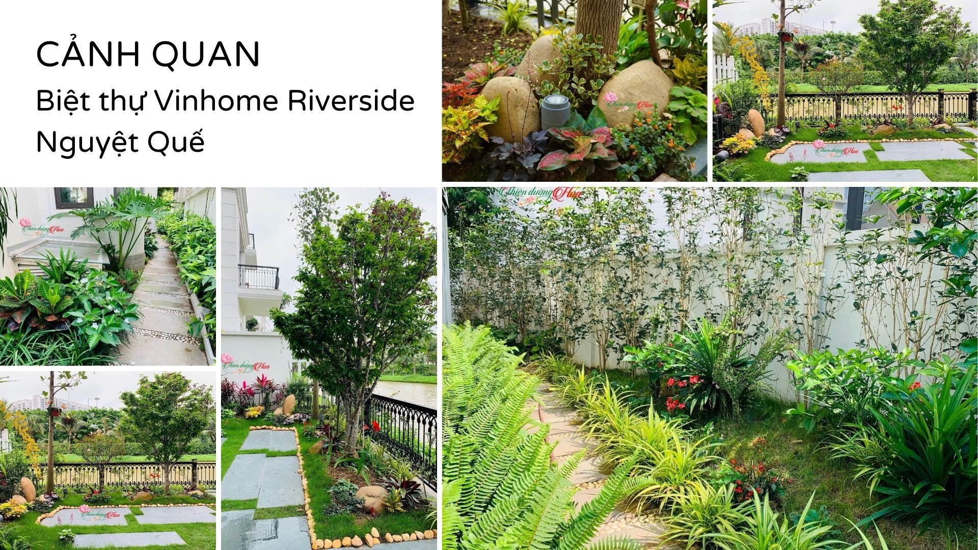 Xem Ảnh Lớn