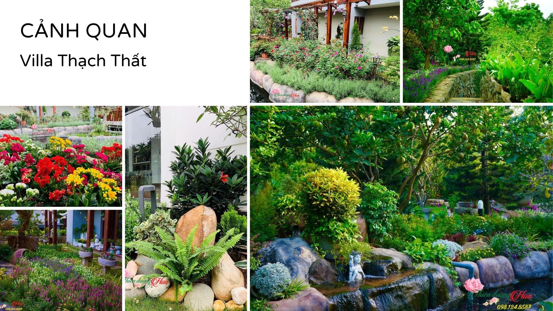 Xem Ảnh Lớn