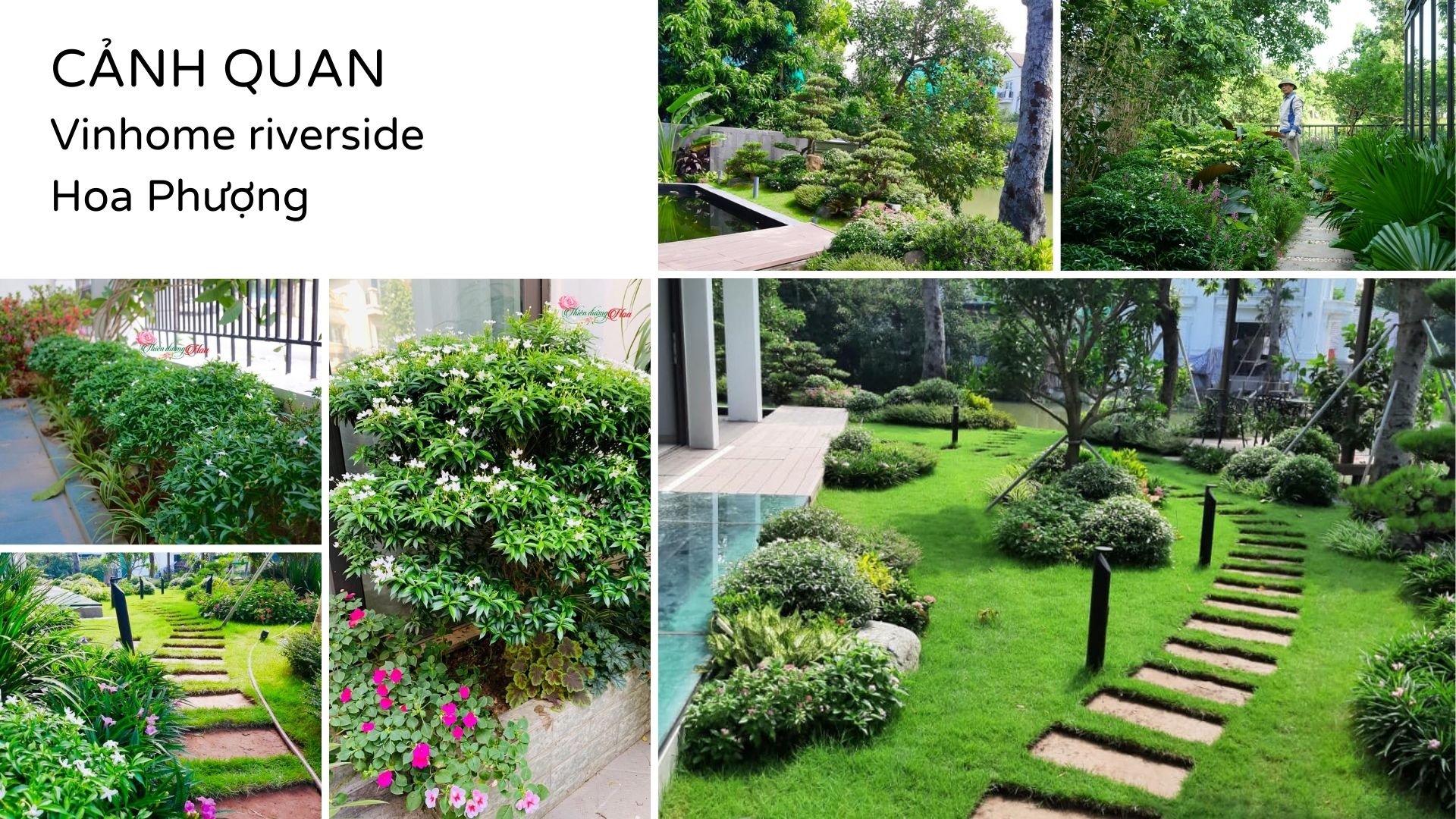 Xem Ảnh Lớn