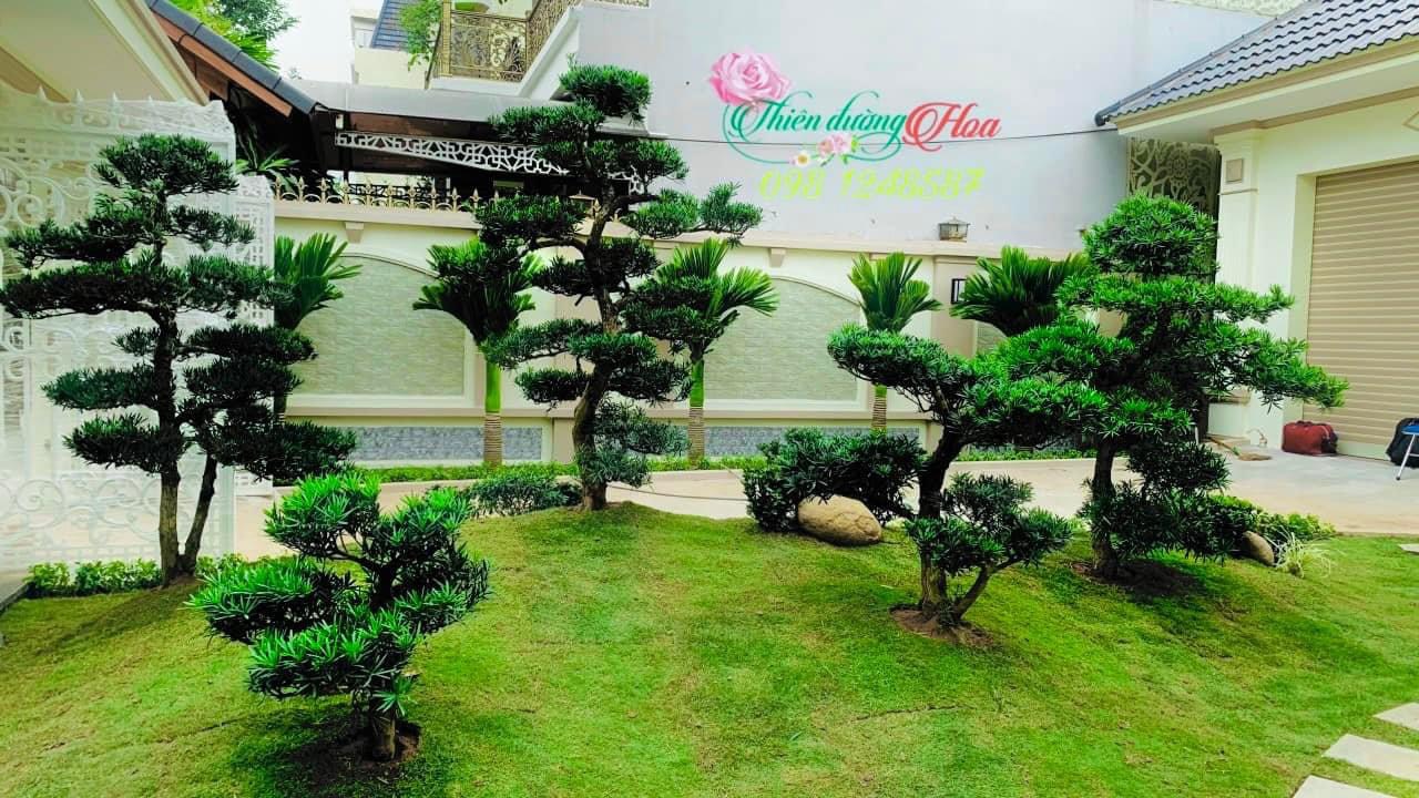 VÌ SAO CẦN THIẾT KẾ CẢNH QUAN?