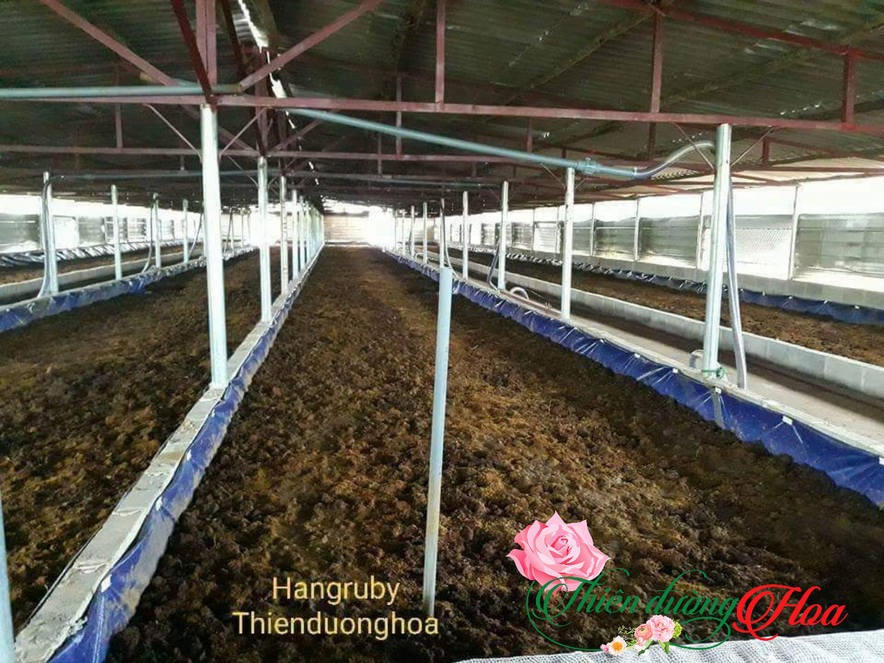 Lợi Ích Của Việc Sử Dụng Phân Bón Hữu Cơ Cho Cây Trồng