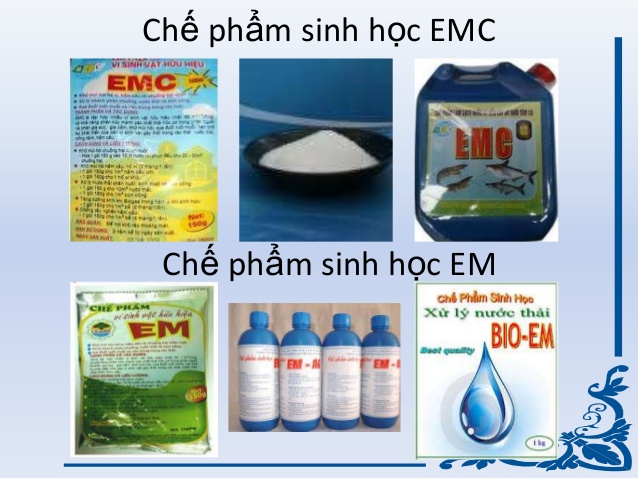 Chế Phẩm Sinh Học Dùng Trong Sản Xuất Nông Nghiệp