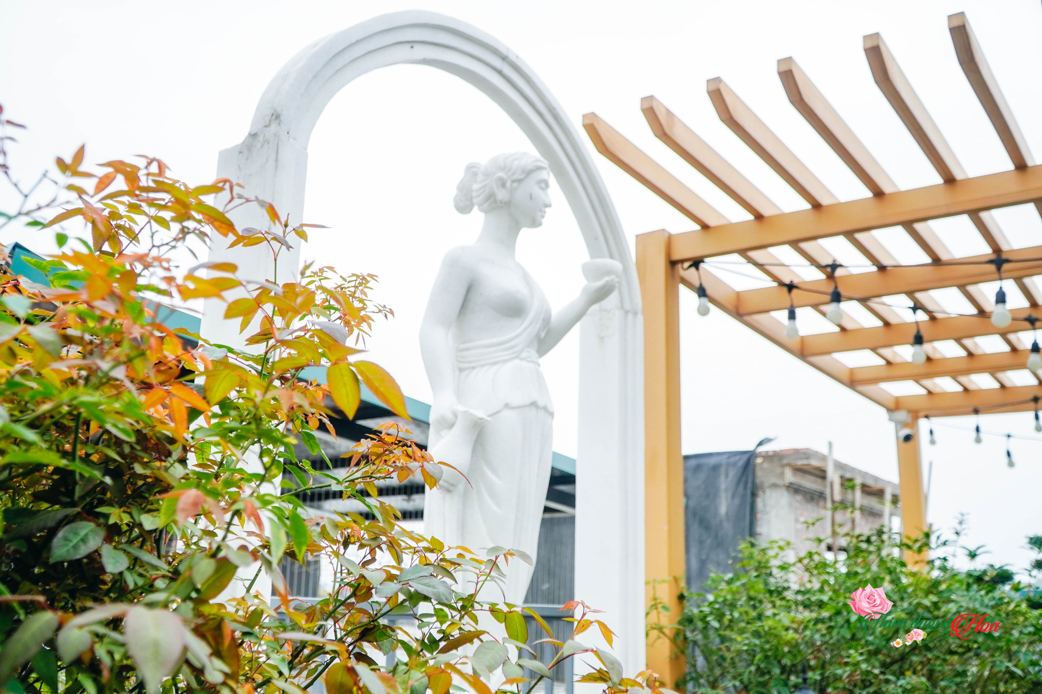 goc-view-san-thuong