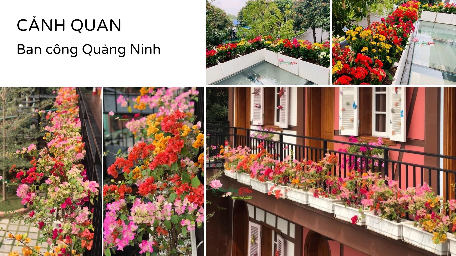 CONG-TRINH-NOI-BAT-DEP