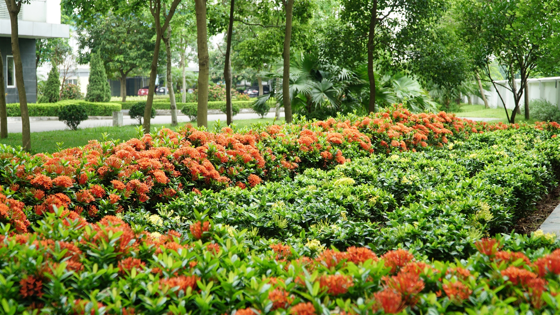 NHÌN LÀ YÊU - Ở LÀ MÊ - ĐI XA LÀ NHỚ, THIÊN ĐƯỜNG HOA - NƠI KIẾN TẠO GIÁ TRỊ CUỘC SỐNG