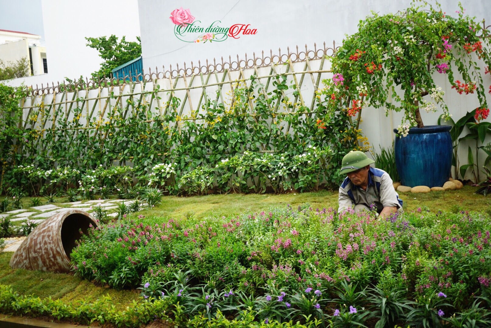 duy-tu-cham-soc-canh-quan
