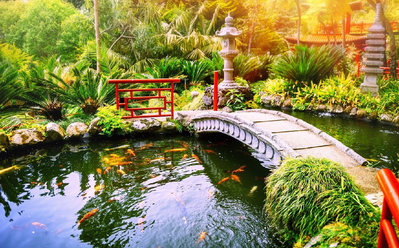 Tieu-canh-ho-ca-san-vuon