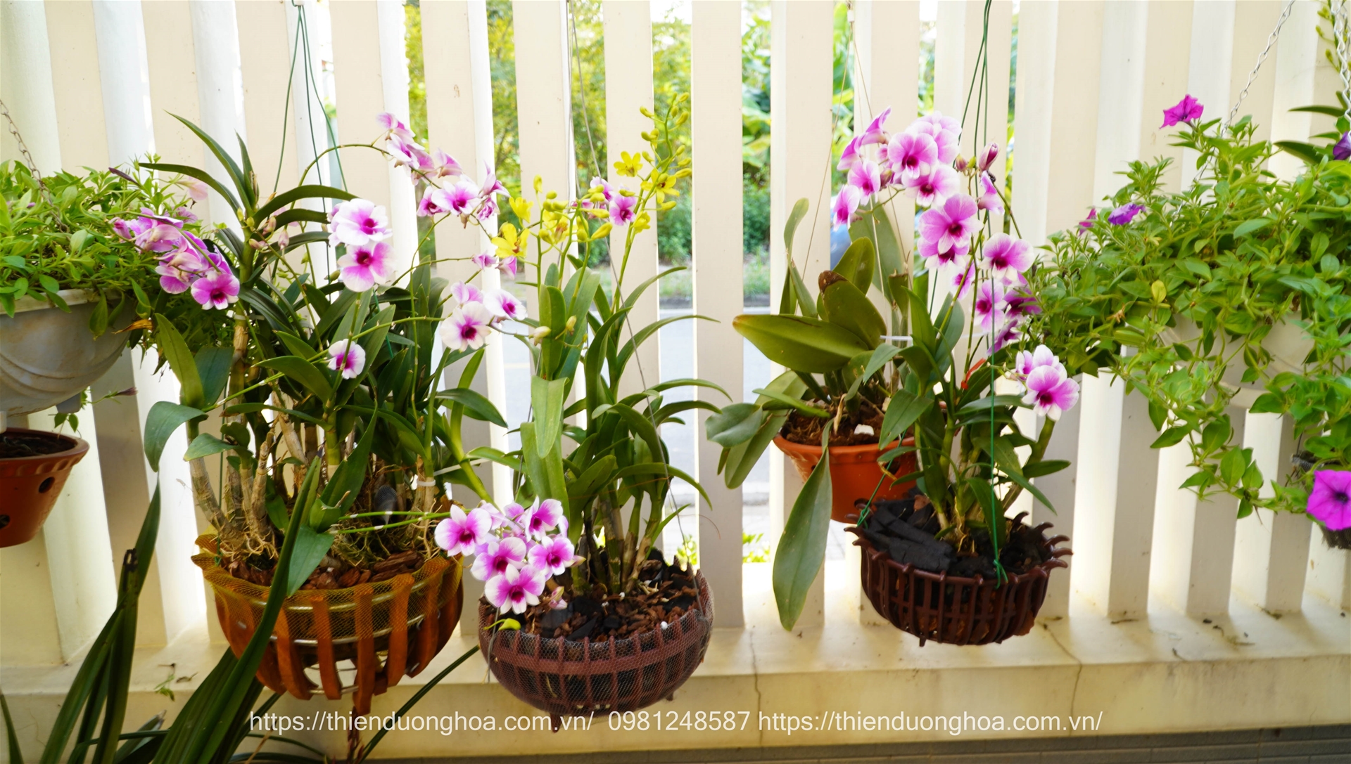 Thiết-kế-thi-công-sân-vườn-biệt-thự 