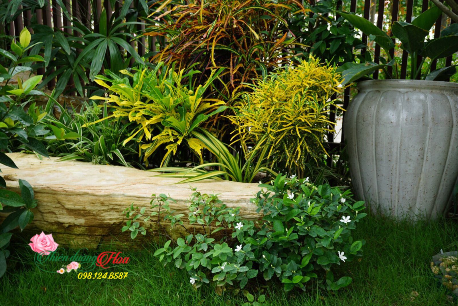 Tieu_canh_san_vuon