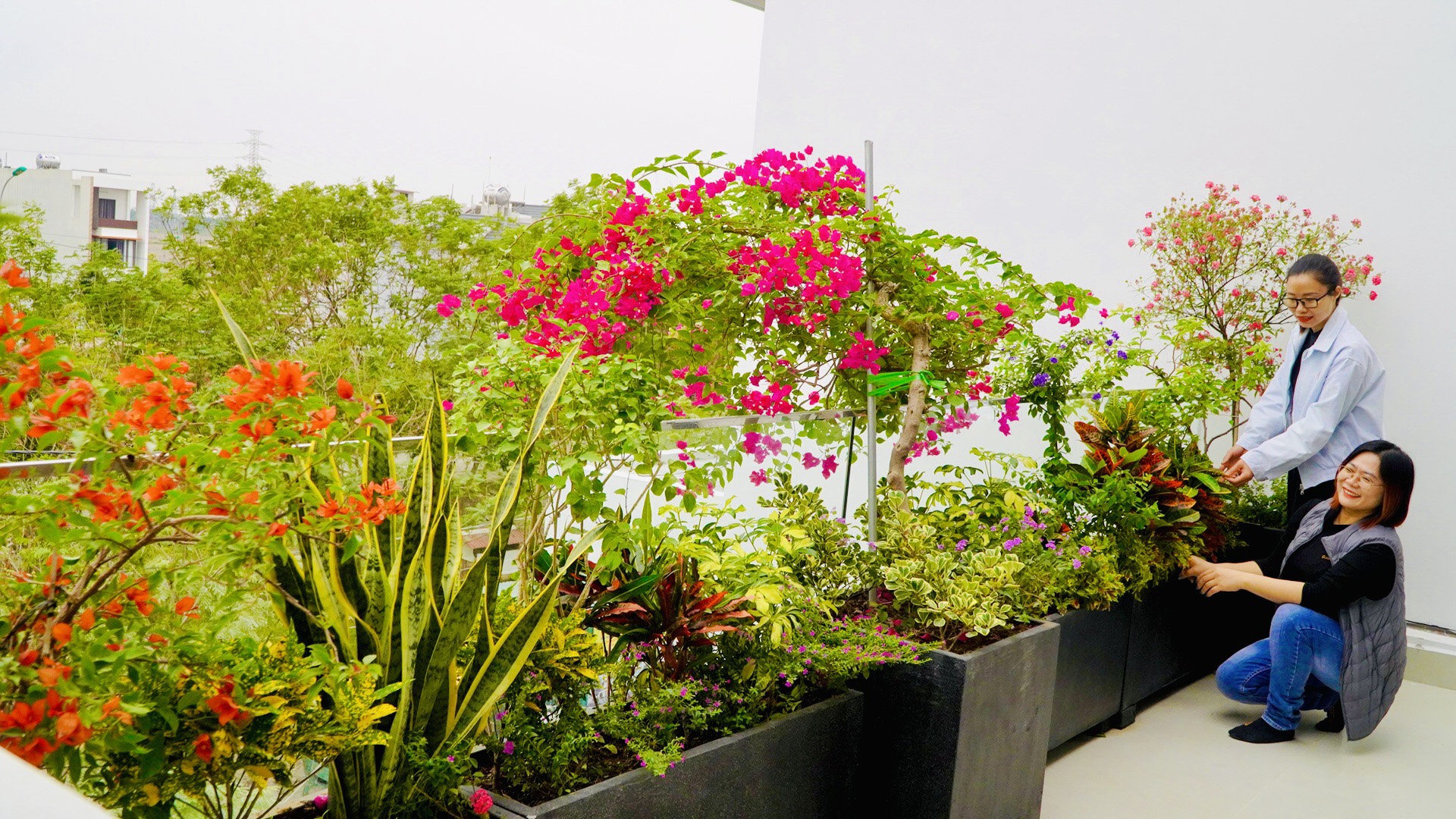 Giới Thiệu Dịch Vụ Tư Vấn, Thiết Kế Và Thi Công Cảnh Quan Sân Vườn tại TP. Chí Linh, Hải Dương