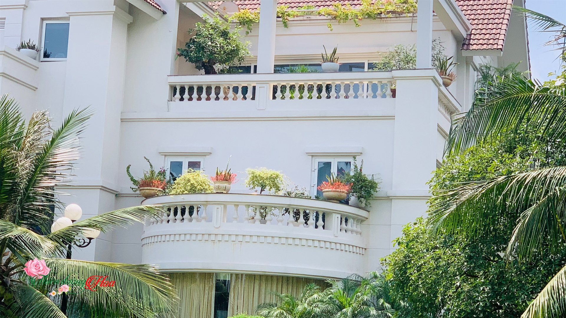 TƯ VẤN THIẾT KẾ VÀ THI CÔNG CẢNH QUAN SÂN VƯỜN TẠI HÀ NỘI