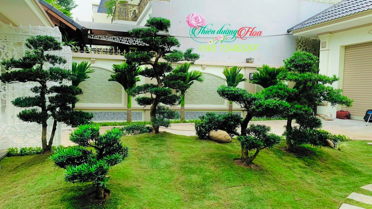 PHONG THỦY TRONG THIẾT KẾ CẢNH QUAN