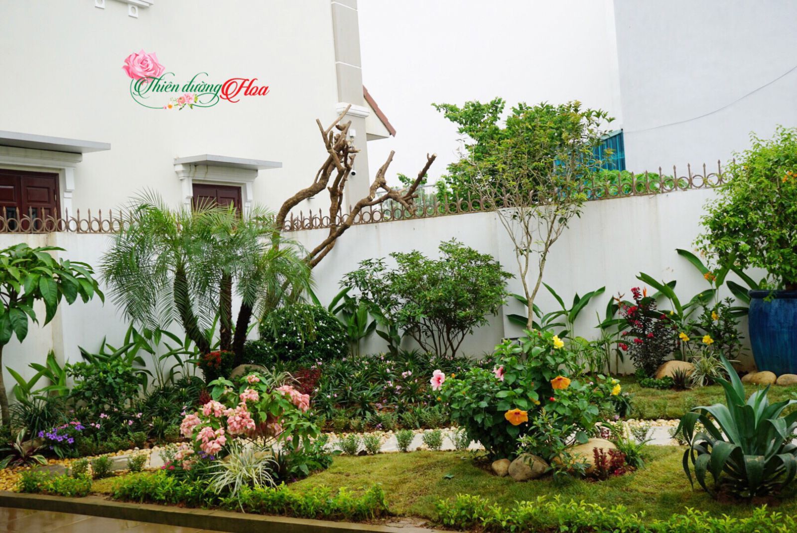 Phong_canh_dẹp
