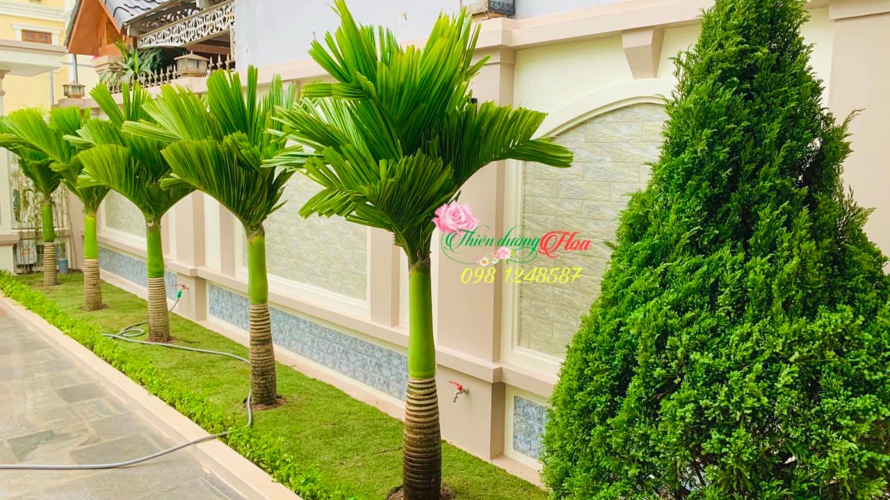 Thiết Kế Và Thi Công Cảnh Quan Sân Vườn Tại Gia Lâm
