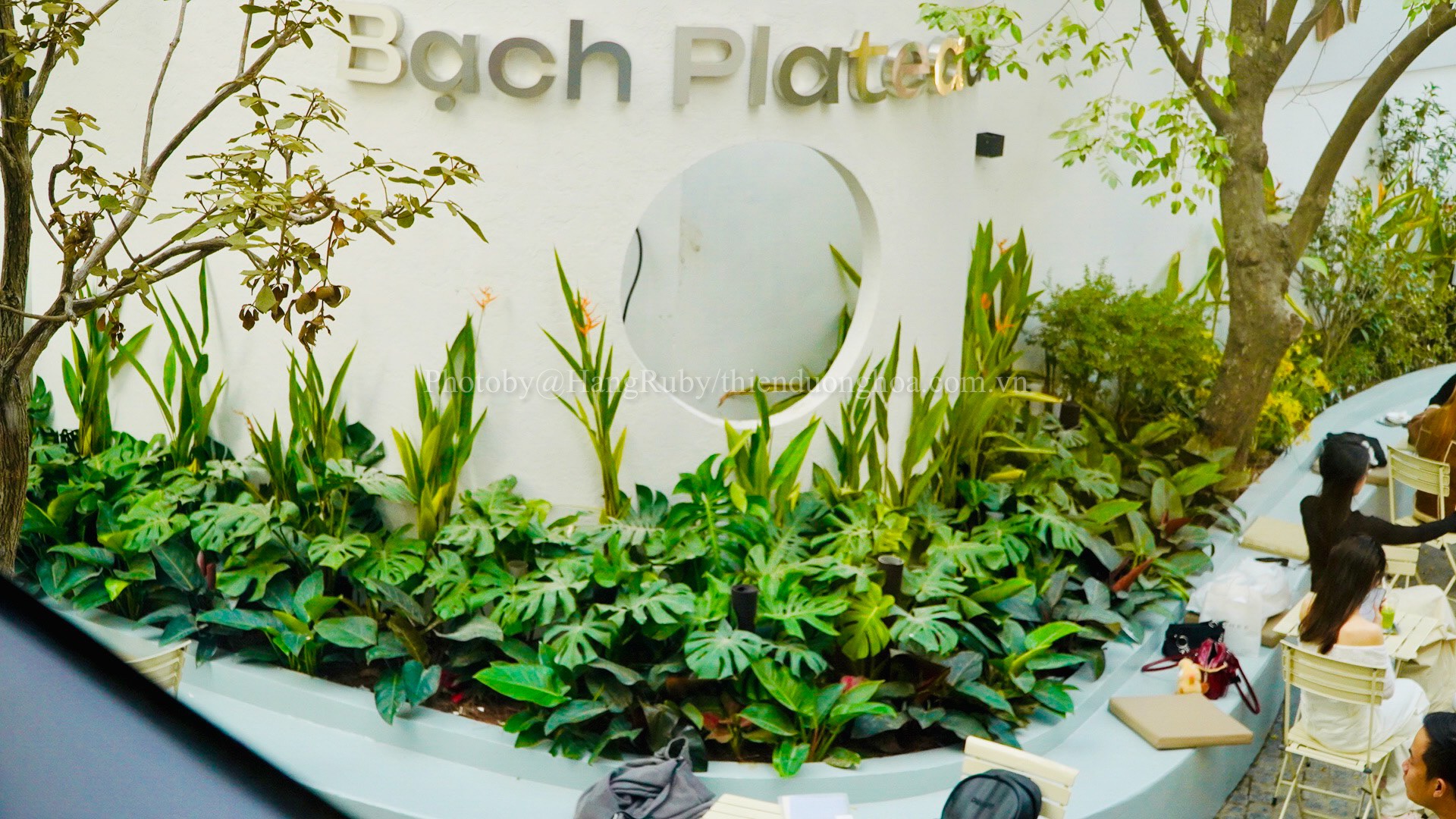 Tư Vấn, Thiết Kế Và Thi Công Cảnh Quan Sân Vườn Tại Bạch Plateaus, Trích Sài, Quận Tây Hồ, Hà Nội