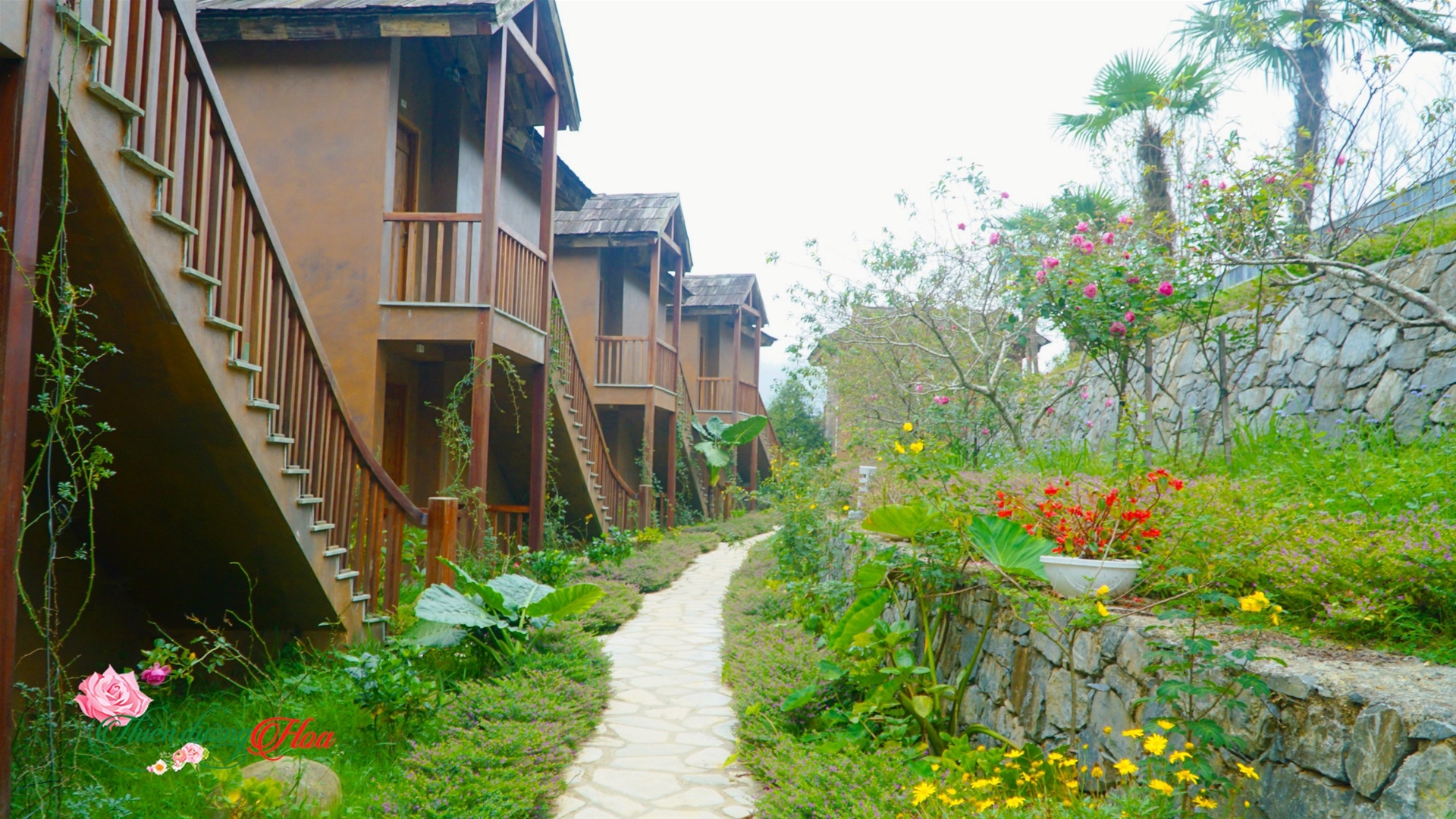 Bí Quyết Thiết Kế Cảnh Quan Homestay Độc Lạ, Thu Hút Khách Hàng