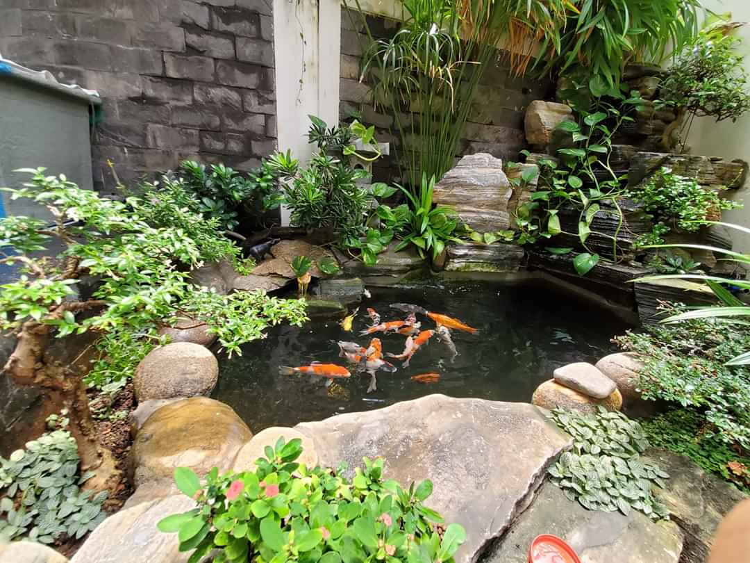 Tieu-canh-ho-ca-san-vuon