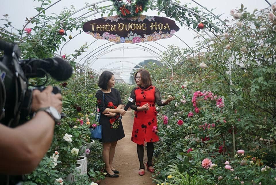 vtv_thien_duong_hoa