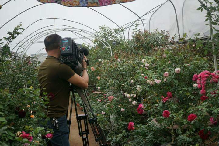 truyen-hinh-VTV