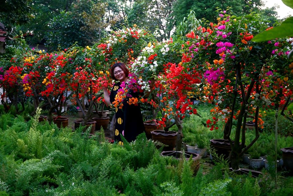 Hoa Giấy Ngũ Sắc