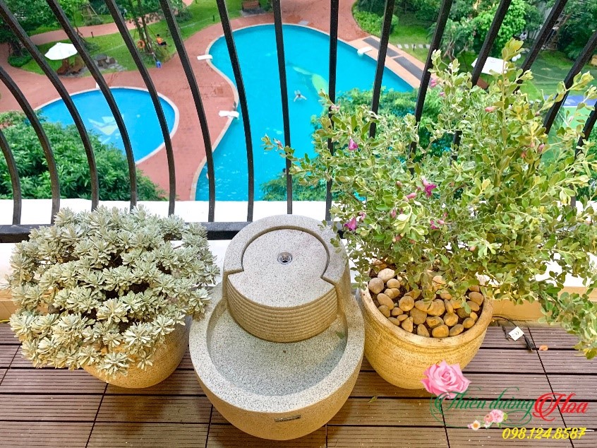 Tuyết Sơn Phi Hồ