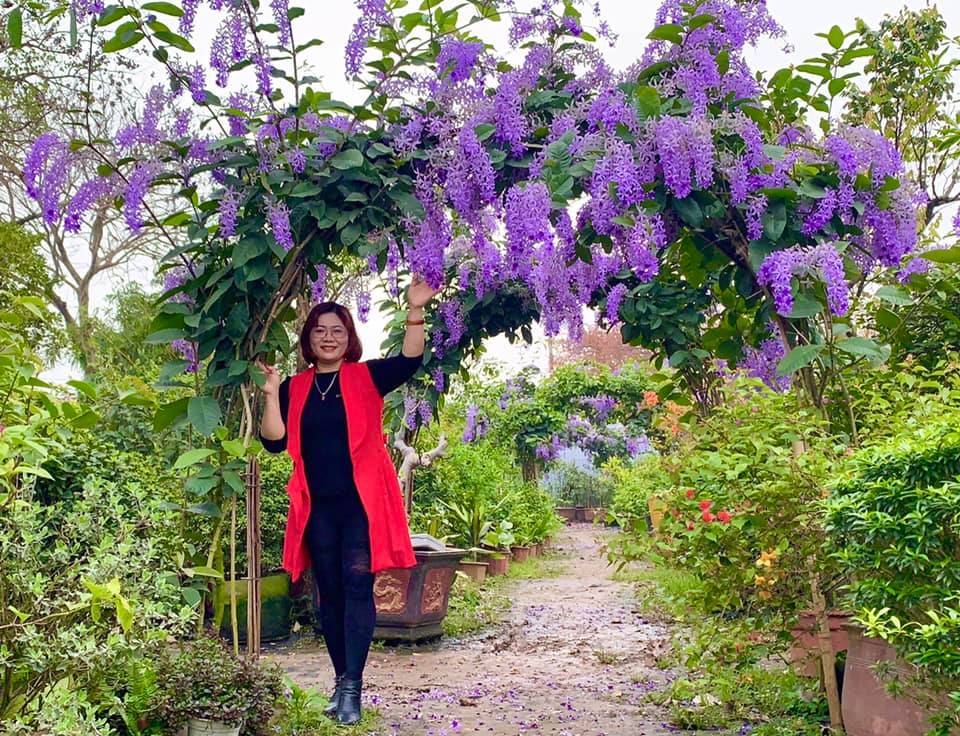 mai_xanh