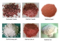 KIẾN THỨC CƠ BẢN VỀ CÁC LOẠI PHÂN BÓN (Phần 2)
