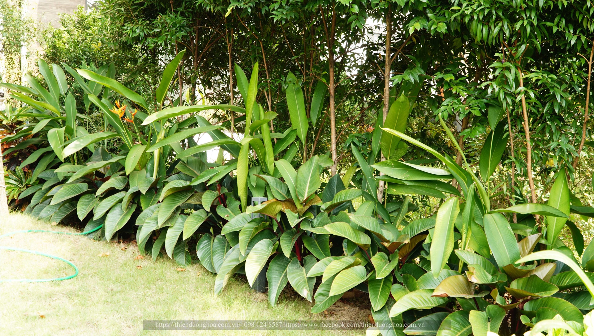 Thiet-ke-thi-cong-canh-quan
