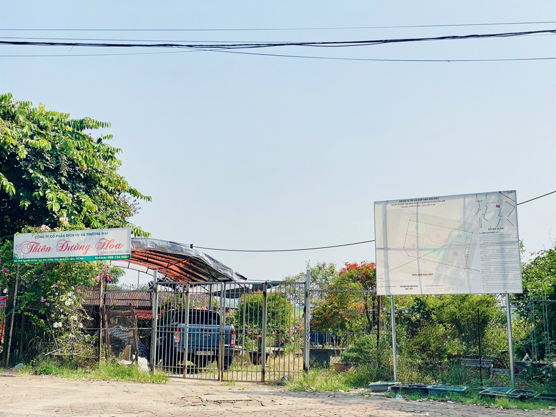 CAY-CANH-DEP