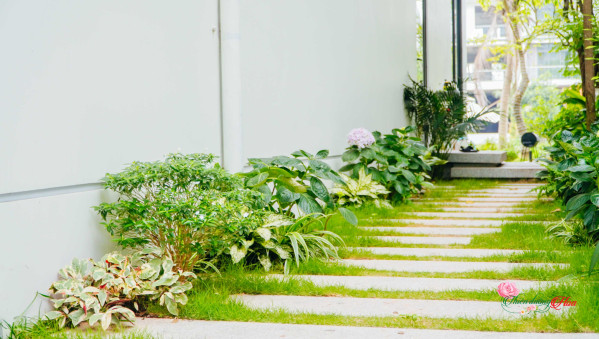 Tư Vấn, Thiết Kế Và Thi Công Cảnh Quan Sân Vườn Tại Ba Vì