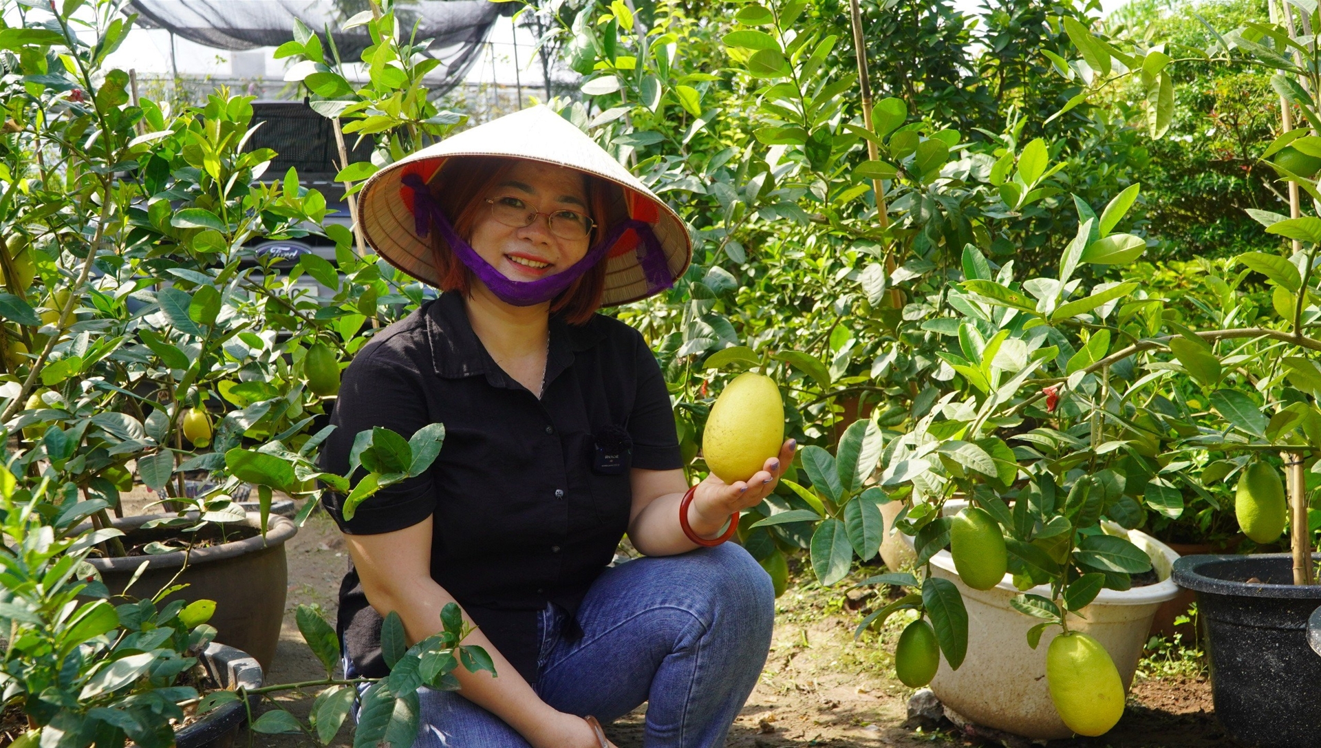 Chanh Assam Ấn Độ