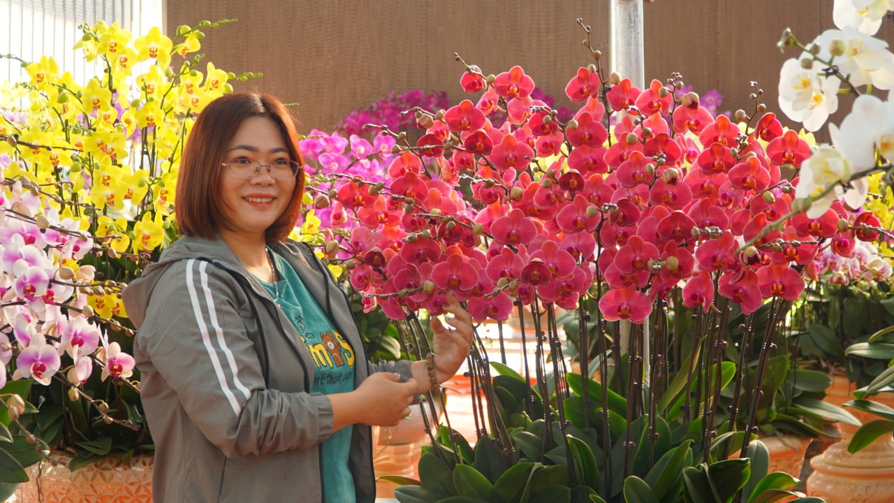 LAN-HO-DIEP