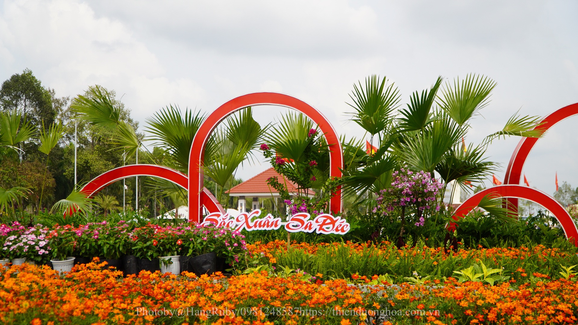 Festival Hoa - Kiểng Sa Đéc 2023: Khám Phá Vẻ Đẹp "Tình Đất - Tình Hoa