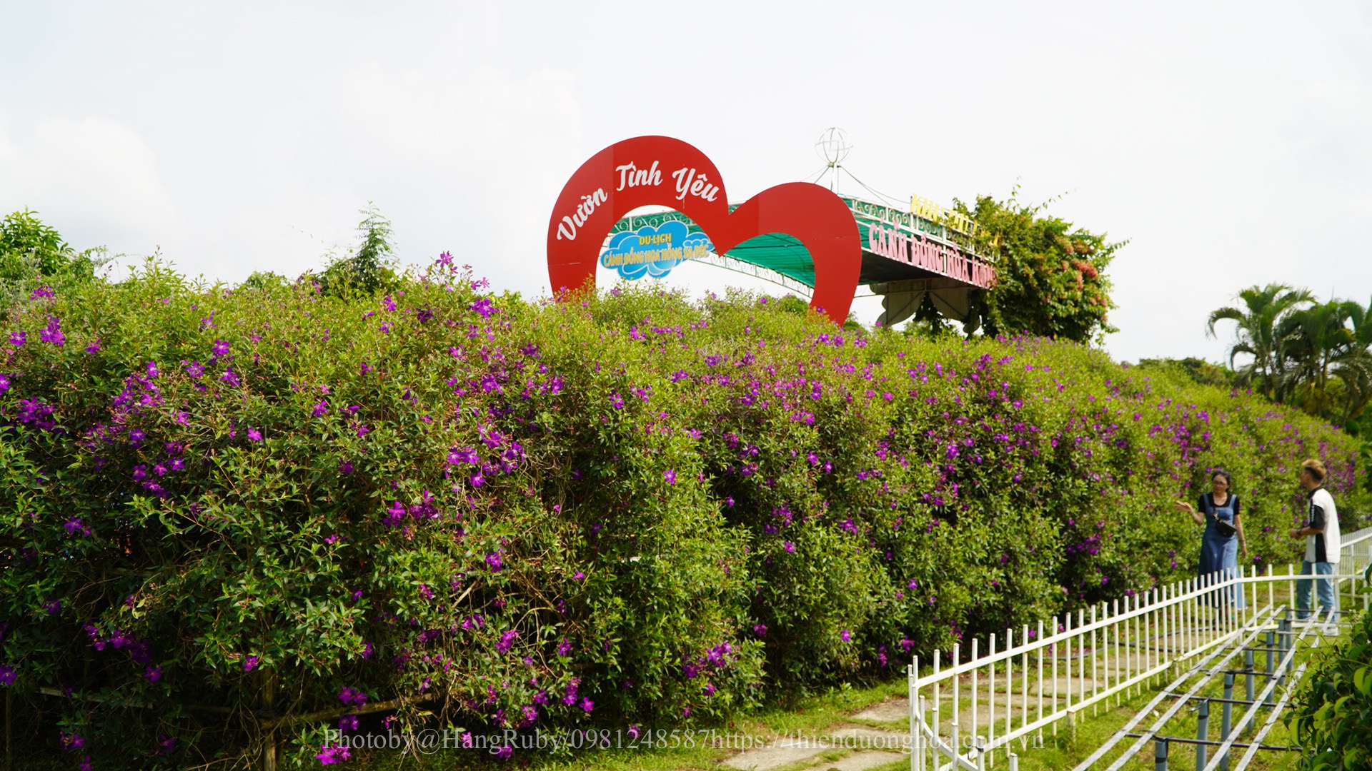 Le-hoi-hoa-sa-dec