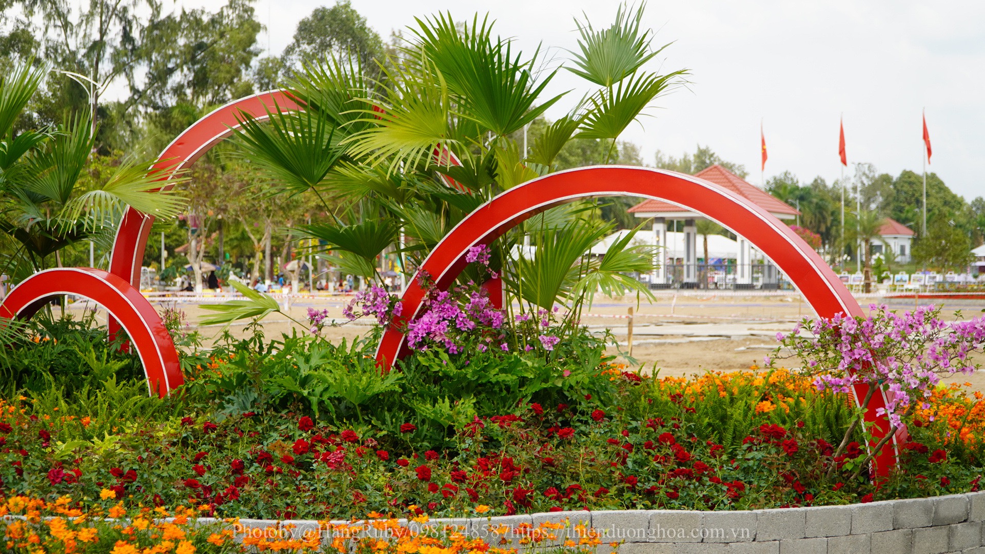 Le-hoi-hoa-sa-dec
